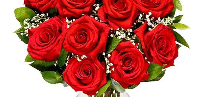 50% Off a Dozen Roses from Briar Patch (Retail $82)