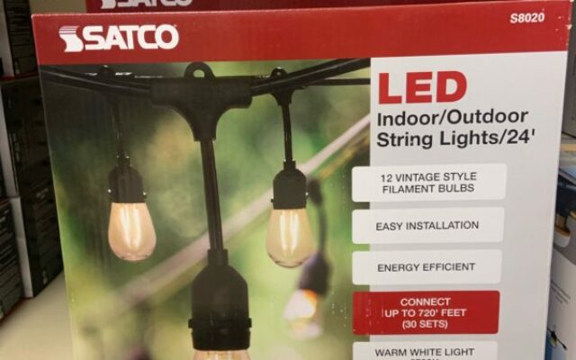 Satco LED Indoor/Outdoor String Lights